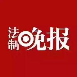 爆料新闻搜索线索,爆料新闻背后的惊人真相，线索指向惊人内幕
