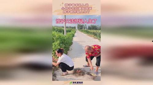 兄嫂了手机在线播放,揭秘家庭娱乐新趋势