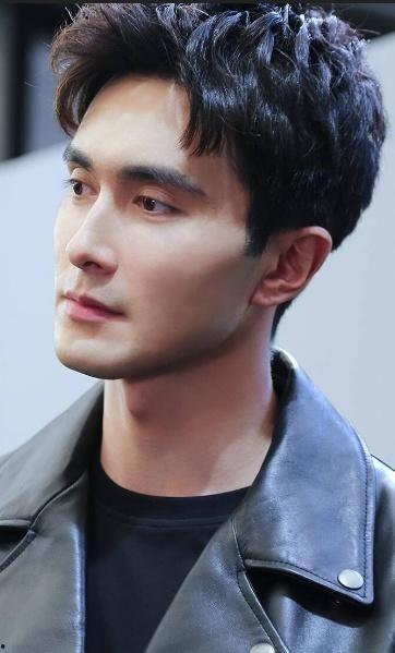 明星高伟光,星光璀璨的影视界新秀