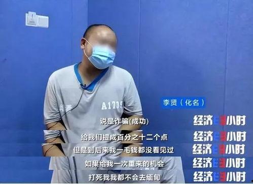 缅北内部人士爆料视频,内部人士爆料视频曝光惊人内幕