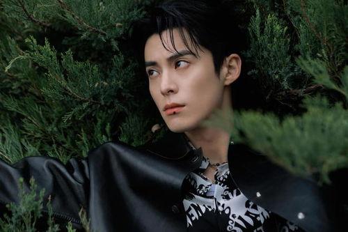 王鹤棣娱乐圈爆料,揭秘明星幕后真相