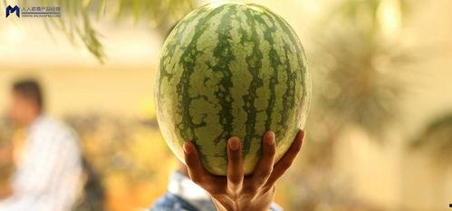 2021娱乐圈吃瓜不断,瓜田李下，明星风云录